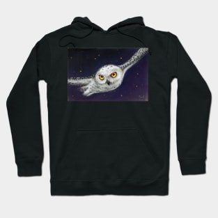 Night Flight Hoodie